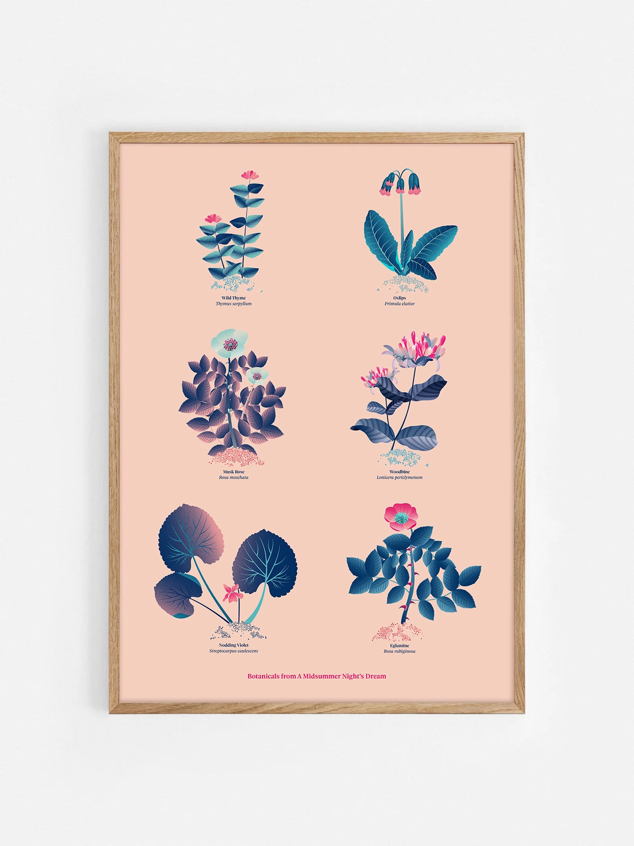 Floral art print 'The Forest's Flora' with ruby red, turquoise, and blue hues, inspired by Shakespeare's woodland - Oak Frame.