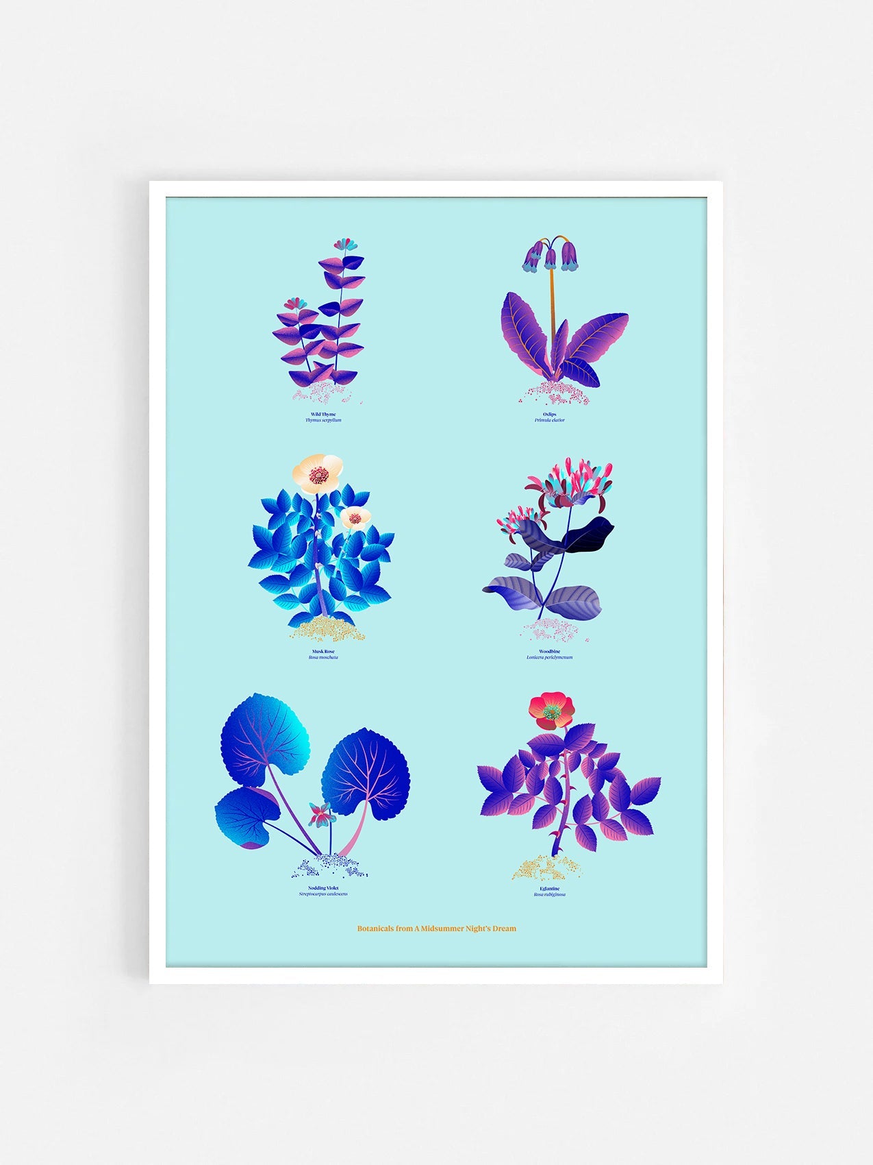 Floral art print 'The Forest's Flora' with electric blue, day-glow, and buttercup hues, inspired by Shakespeare's woodland - White Frame.