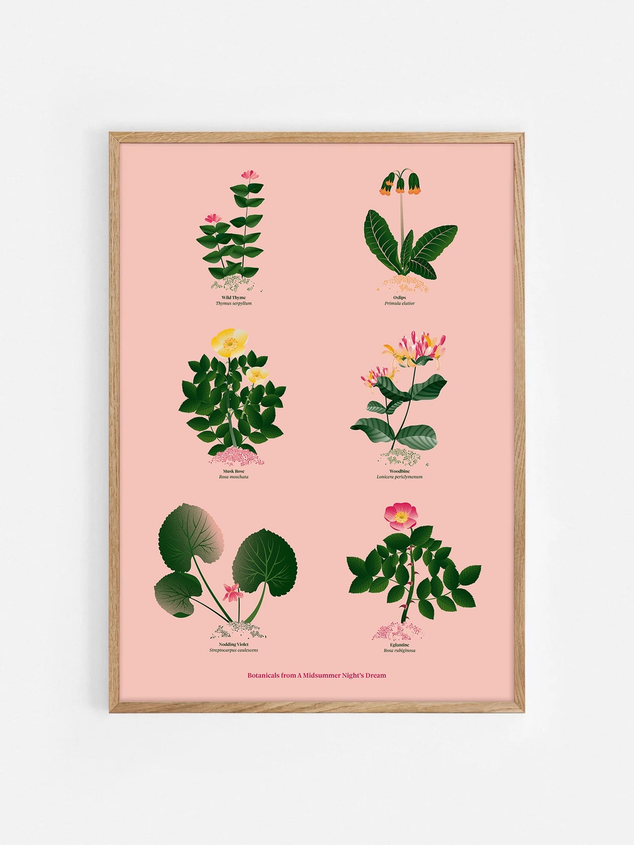 Floral art print 'The Forest's Flora' with forest green, saffron, and magenta hues, inspired by Shakespeare's woodland - Oak Frame.