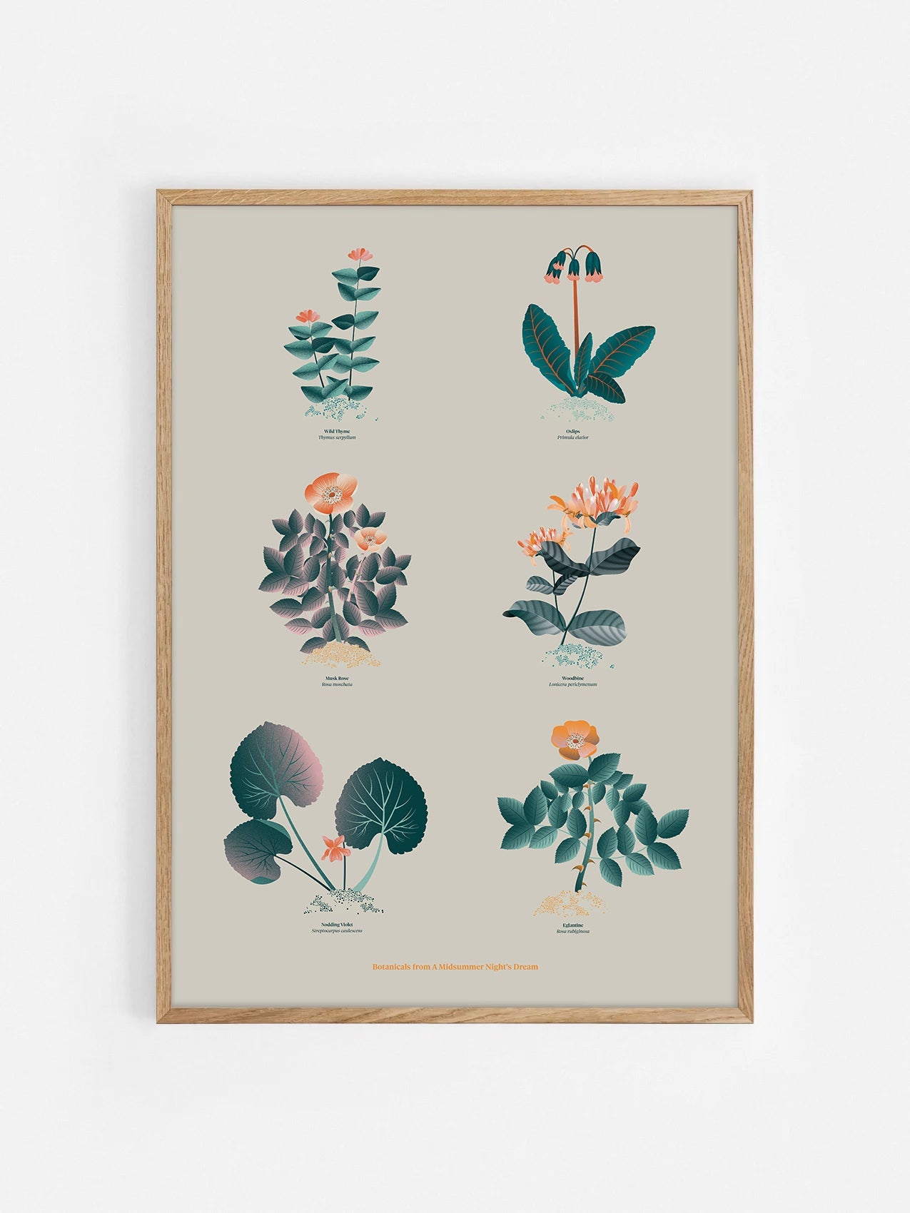 Floral art print 'The Forest's Flora' with teal, mandarin, and orange hues, inspired by Shakespeare's forest - Oak Frame.
