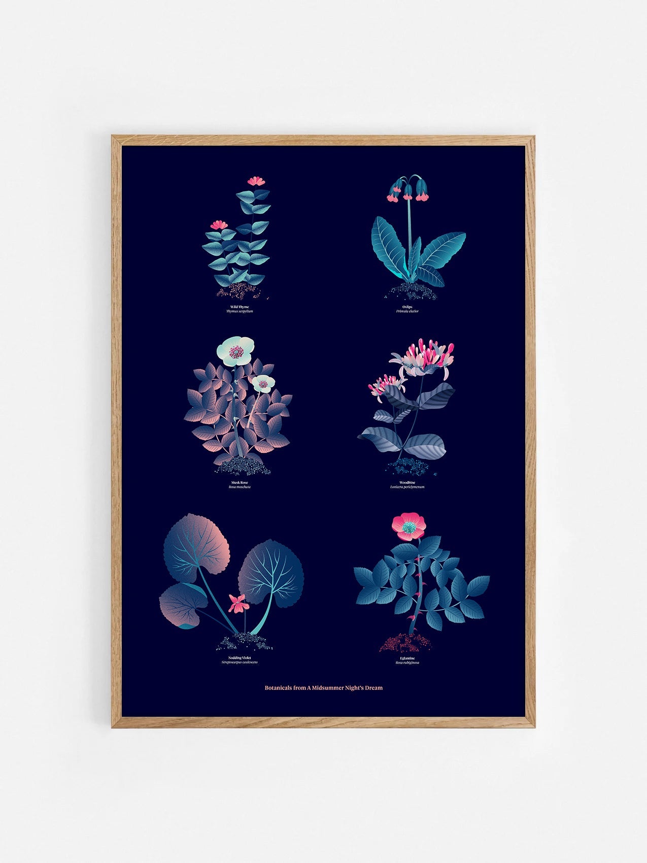 Floral art print 'The Forest's Flora' with ruby red, turquoise, and blue hues, inspired by Shakespeare's forest - Oak Frame.