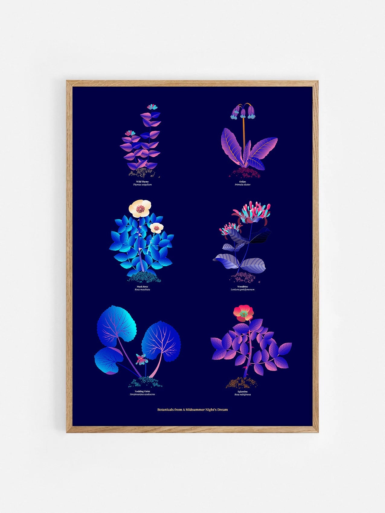 Floral art print 'The Forest's Flora' with electric blue, day-glow, and buttercup hues, inspired by Shakespeare's forest - Oak Frame.