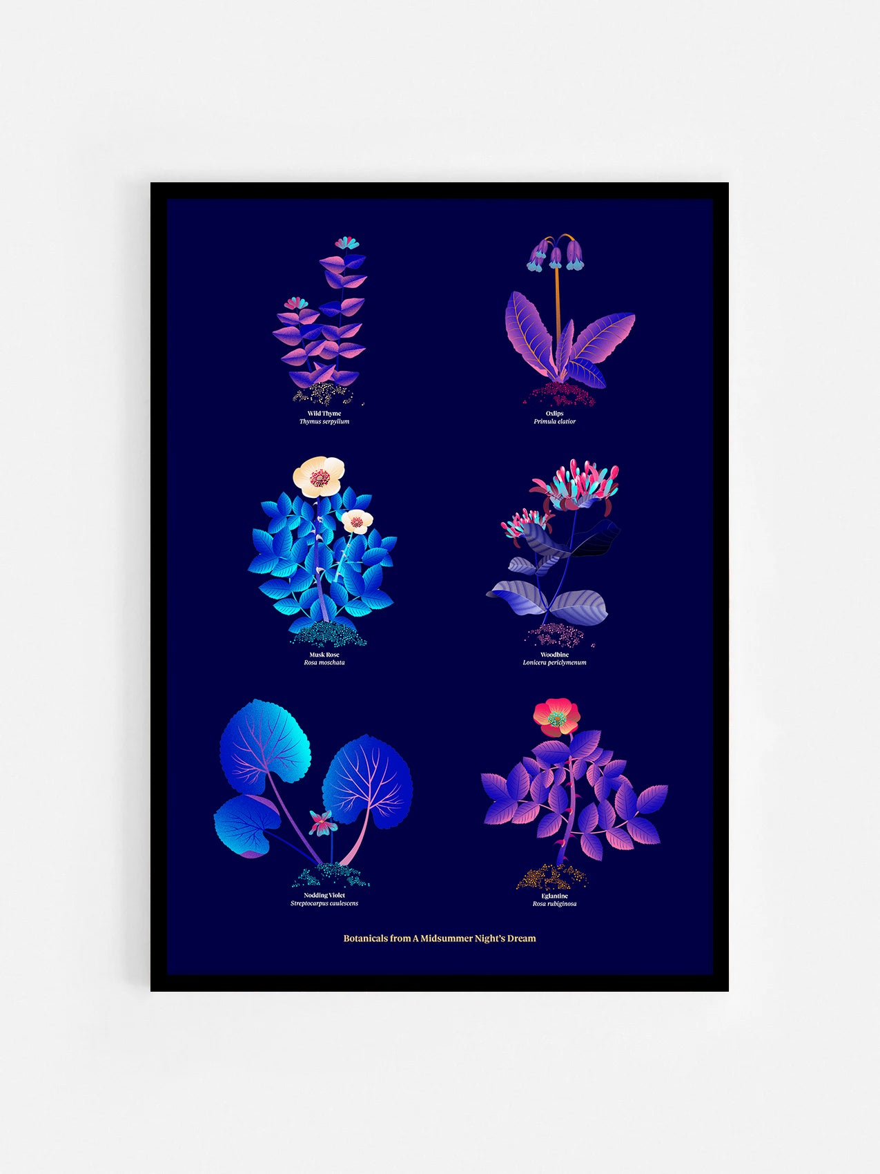 Floral art print 'Midsummer Forest' with electric blue, day-glow, and buttercup hues, inspired by Shakespeare's woodland - Black Frame.
