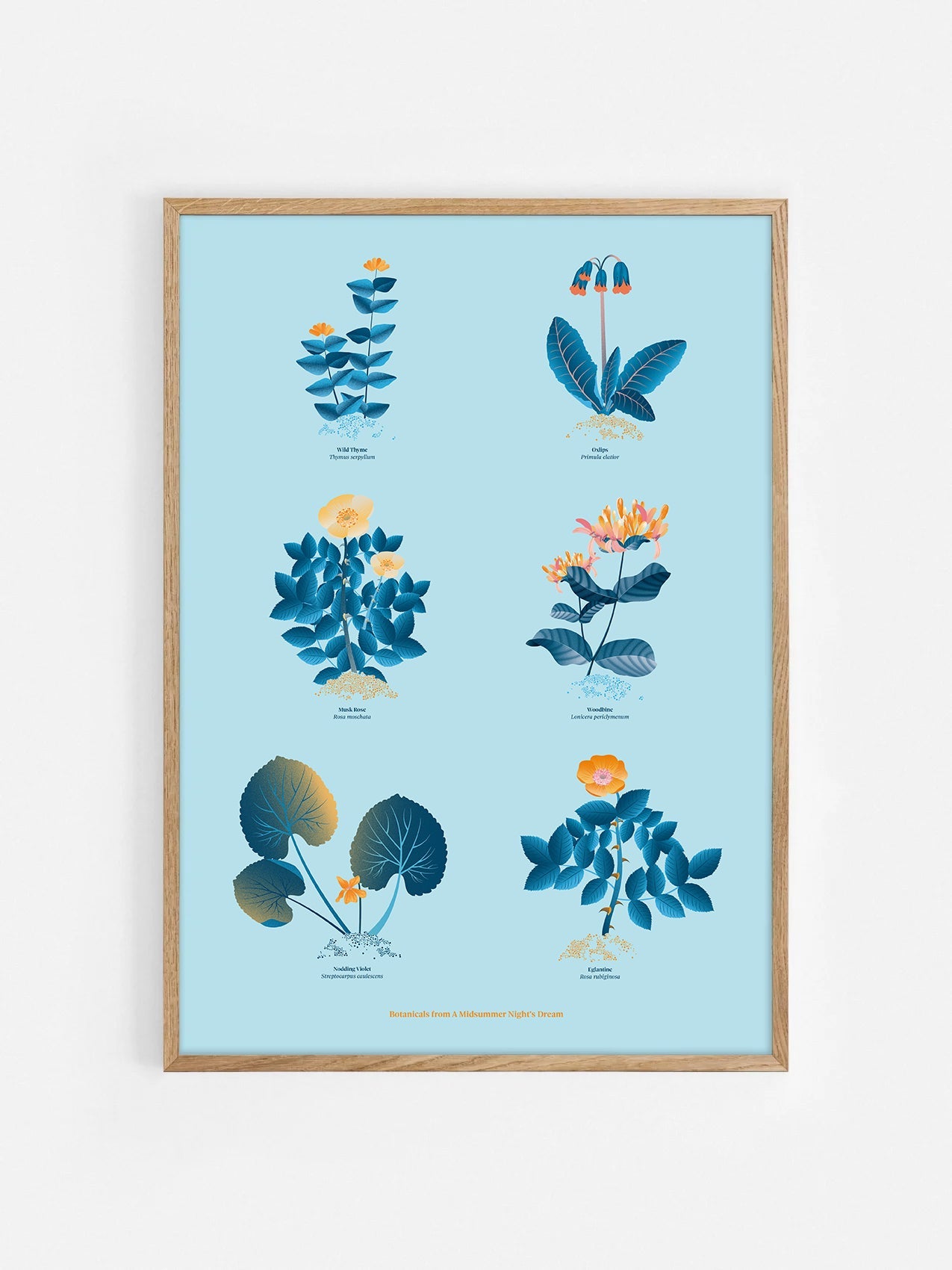 Floral art print 'The Forest's Flora' with blue, orange, and golden hues, inspired by Shakespeare's woodland - Oak Frame.