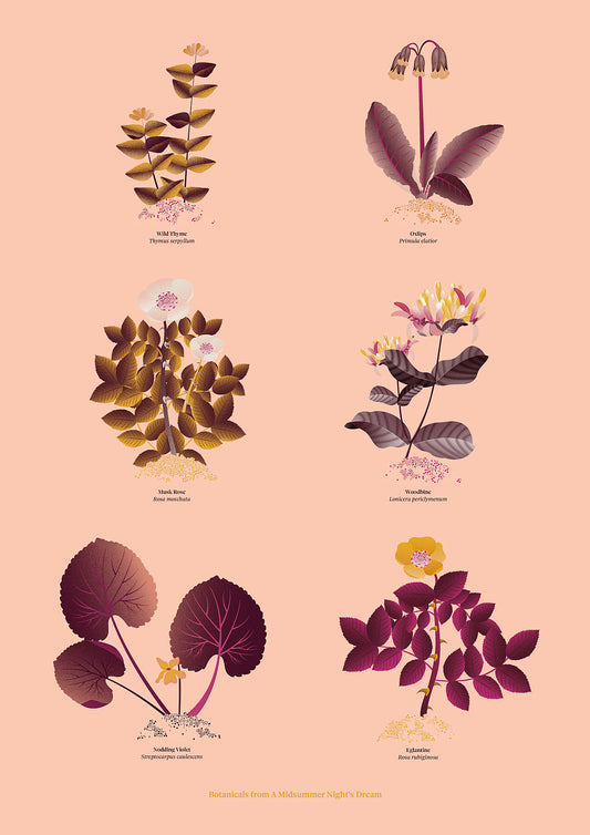 Floral art print 'The Forest's Flora' with aubergine, rose, and orange hues, inspired by Shakespeare's woodland - Print Only.