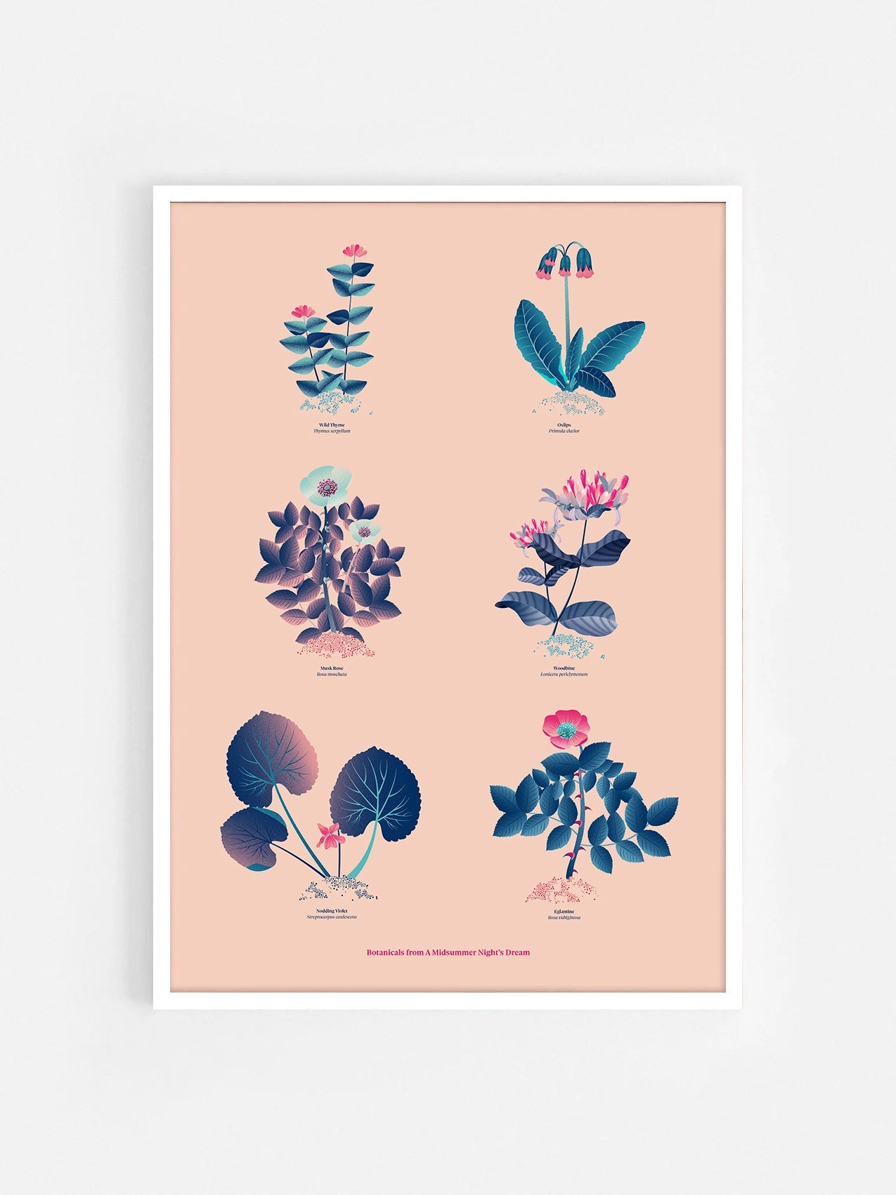 Floral art print 'The Forest's Flora' with ruby red, turquoise, and blue hues, inspired by Shakespeare's woodland - White Frame.