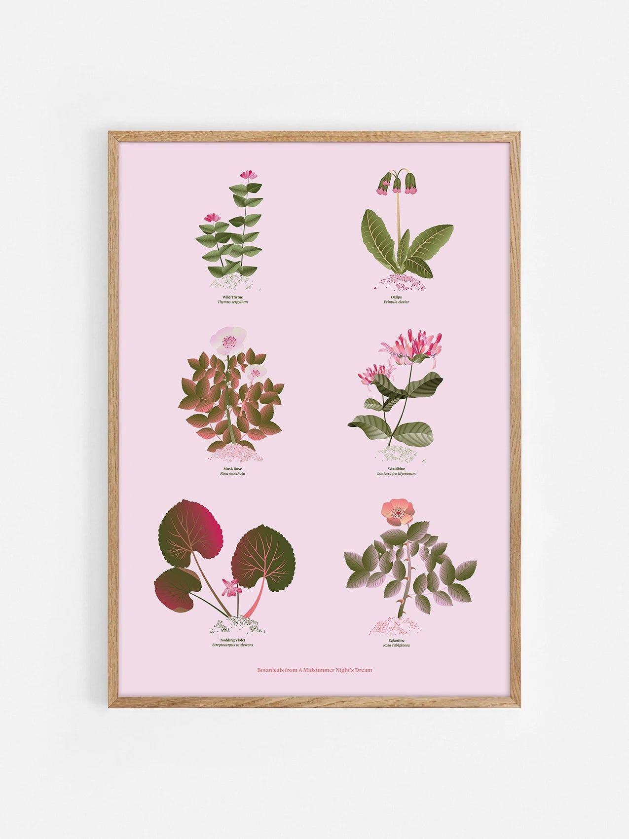 Floral art print 'The Forest's Flora' with olive, pink, and pomegranate hues, inspired by Shakespeare's forest - Oak Frame.
