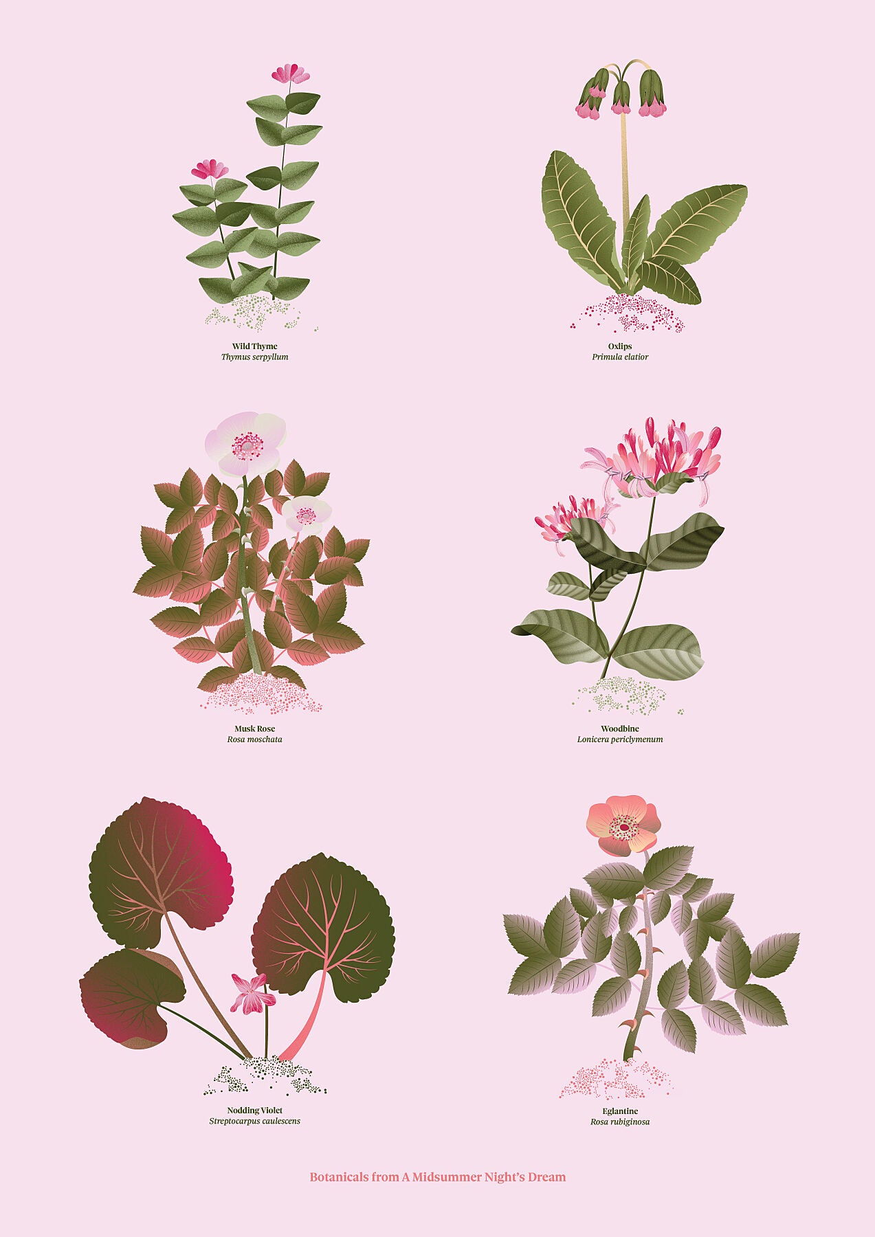 Floral art print 'The Forest's Flora' with olive, pink, and pomegranate hues, inspired by Shakespeare's forest - Print Only.