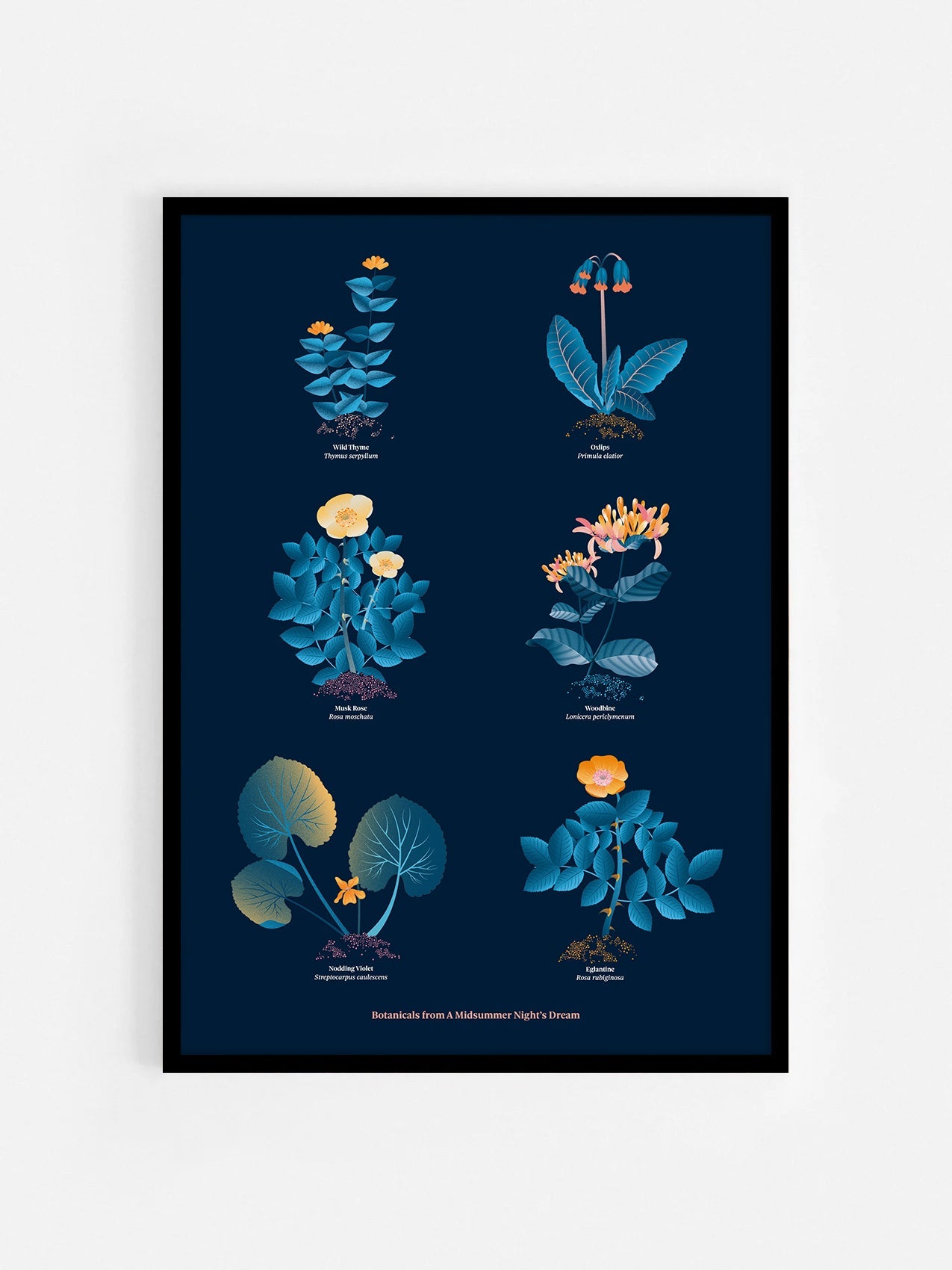 Floral art print 'The Forest's Flora' with blue, orange, and golden hues, inspired by Shakespeare's forest - Black Frame.