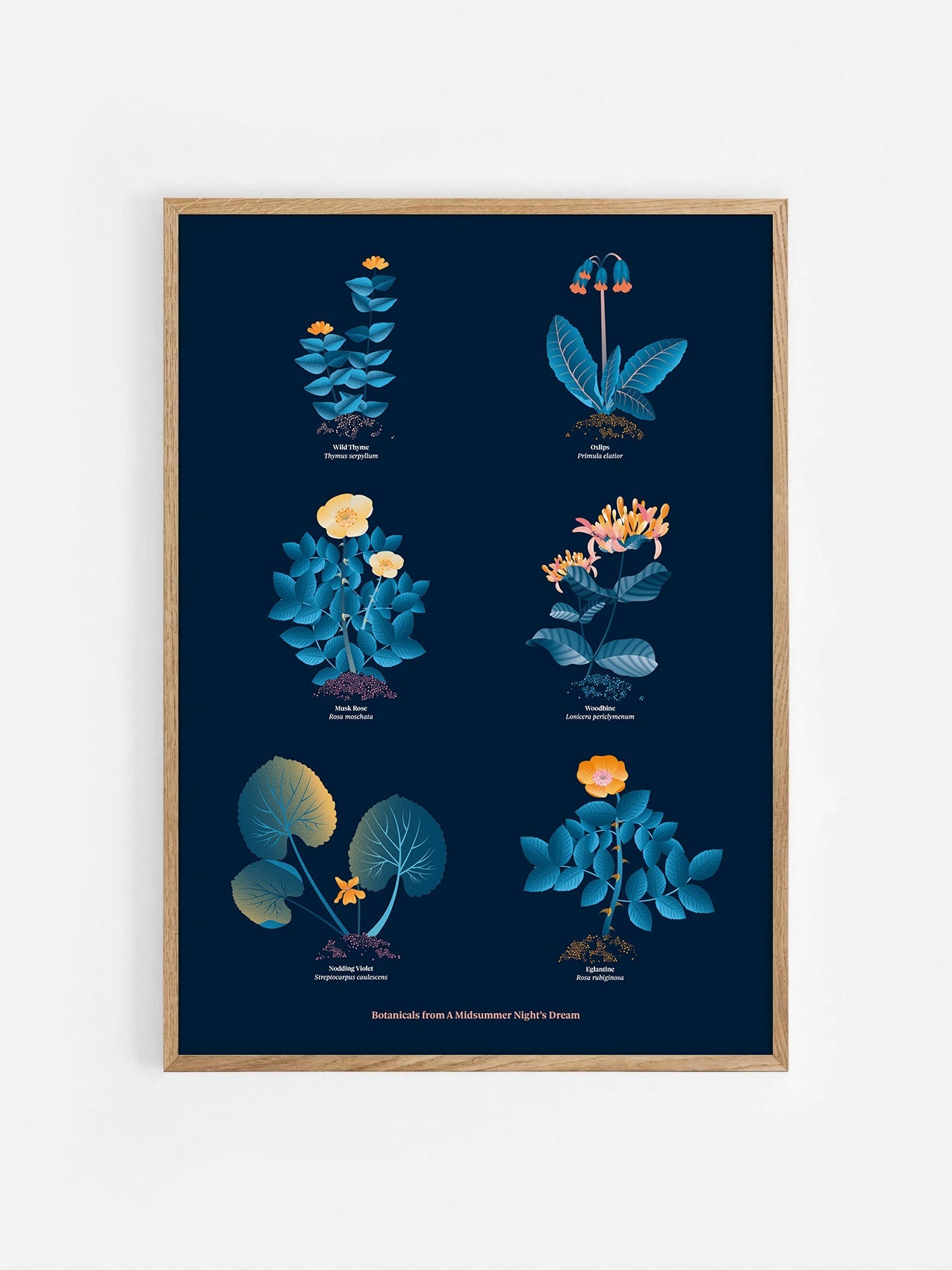Floral art print 'The Forest's Flora' with blue, orange, and golden hues, inspired by Shakespeare's forest - Oak Frame.