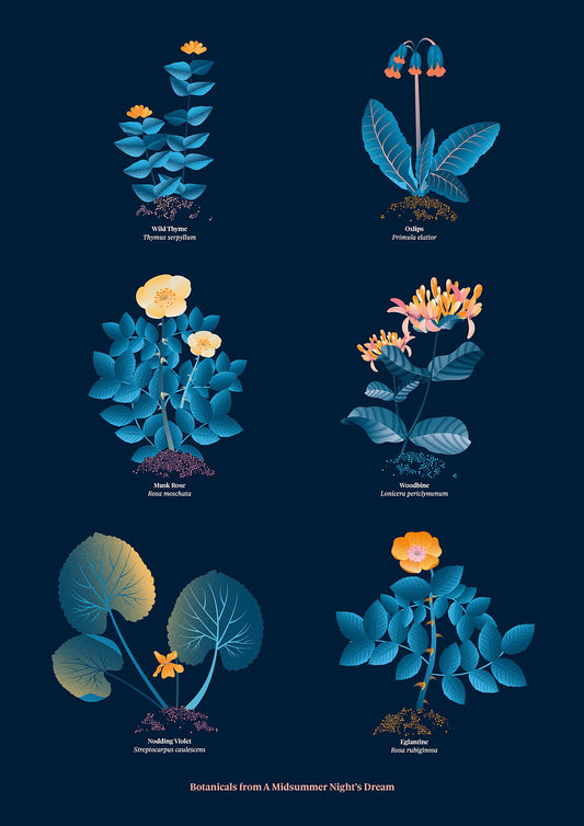 Floral art print 'The Forest's Flora' with blue, orange, and golden hues, inspired by Shakespeare's forest - Print Only.